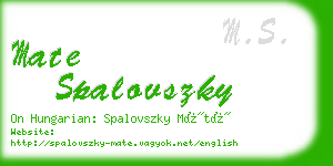 mate spalovszky business card